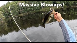 Bass Fishing the Adirondacks with Topwater [upl. by Ilona686]