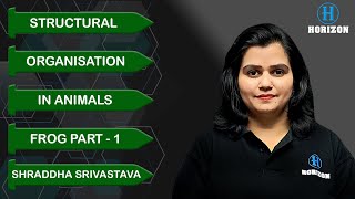 Frog Part1  Structural Organisation in Animals  Shraddha Mam  Horizon Academy [upl. by Einohpets]