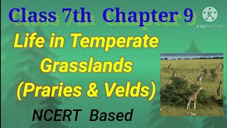 NCERT Class 7th chapter 9 Life in Temperate grassland [upl. by Hanfurd]