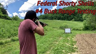 Federal 12 Gauge Mini Shells 4 Buck Range Testing Part 1 [upl. by Cleti]