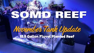 Episode 2  November 135 Gallon Planted Reef Tank Update  SoMD Reef [upl. by Octavla684]