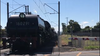 Trains at Woy Woy Crossing  Including Steam Locomotive 6029 [upl. by Asilet600]