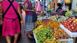 Mercado Municipal De Tuxtla Chico Chiapas [upl. by Josefina473]