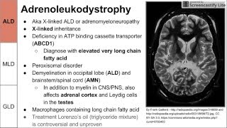 Leukodystrophies ALD MLD and GLD [upl. by Pris]