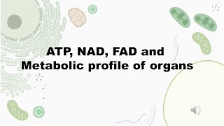 ATP NAD FAD and Metabolic profile of organs [upl. by Leverick728]