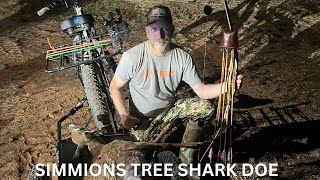 LONGBOW DOE DOWN WITH A SIMMIONS TREE SHARK [upl. by Theresa]