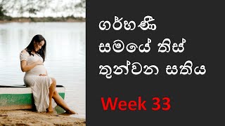 Pregnancy week 33  Pregnant week 33 Sinhala  pregnant week by week sinhala ගර්භණී සති 33 [upl. by Rastus364]