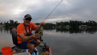 Catching Bedding Shellcracker Lake Murray [upl. by Drawyah541]