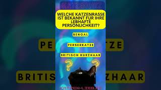 Wie viel weißt du über Katzenfutter 🍽️🐱 katzenquiz [upl. by Ettenal]