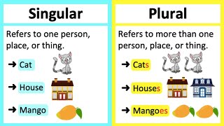 SINGULAR VS PLURAL NOUNS 🤔  Whats the difference Learn with examples [upl. by Hobbs]