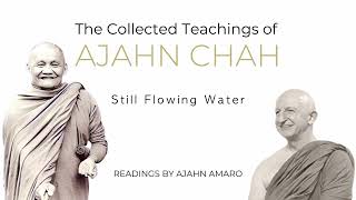 The Collected Teachings of Ajahn Chah  Chapter 34  Still Flowing Water [upl. by Levy]