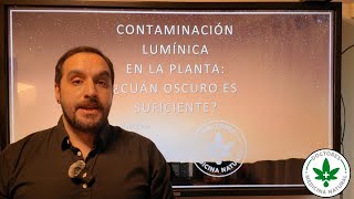 Contaminación lumínica en Cannabis Light pollution in Cannabis [upl. by Greenburg]