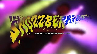 The Snozzberries Asheville NC  Psychedelic Rock and FunkFusion [upl. by Rahr]