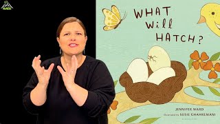 quotWhat Will Hatchquot  ASL Storytelling [upl. by Ojela147]