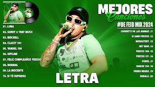 Feid 2024 LetraLyrics  Mejores Canciones de Feid  Grandes Éxitos De Feid  Mix Reggaeton 2024 [upl. by Ydna]