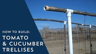 How to Build Tomato and Cucumber Trellises [upl. by Alurta]