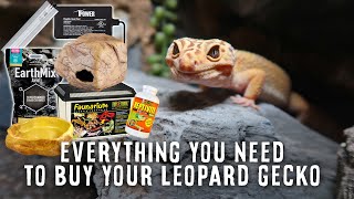 Beginners Guide To Leopard Gecko Supplies  Tank Heater Light Substrate amp More [upl. by Rafe]