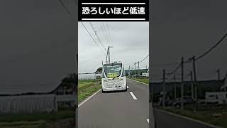 【自動運転】自動運転のミニバス試験走行してました 北海道 自動運転 EV 低速 ♯横浜ナンバー [upl. by Enomahs819]