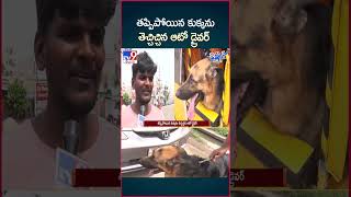 iSmart News  తప్పిపోయిన కుక్కను తెచ్చిచ్చిన ఆటో డ్రైవర్  Auto Driver Fetched The Lost Dog TV9 [upl. by Amre554]