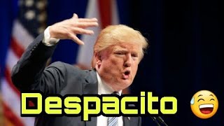 Donald Trump Singing DespacitoFtJustin BieberDaddy yankeeLuis Fonsi [upl. by Ramsden853]