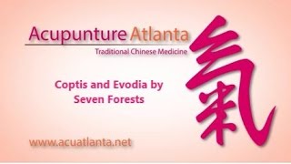 TCM Spotlight Seven Forests Coptis and Evodia [upl. by Gregoor829]