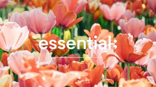 Playlist 봄이 왔나 봄 🌷  봄에 듣기 좋은 산뜻한 팝송  4 hours spring mood pop [upl. by Haff]