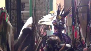 Chepstow Wassail and Mari Lwyd 2012 [upl. by Georgetta]