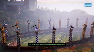 Harry Potter Quidditch Champions  Hogwarts House Cup Finals [upl. by Obediah]