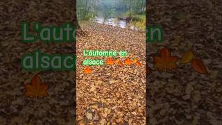 🇫🇷🇫🇷🇫🇷shortvideo Strasbourg lautomne alsace park music [upl. by Ettenauq]