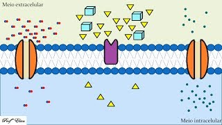 Transporte através da Membrana Plasmática [upl. by Otrebcire465]
