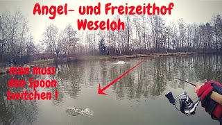 Forellenangeln mit Spoon Angelhof Weseloh Bienenmade Ultralight Angeln Trout Area Fishing [upl. by Treborsemaj]