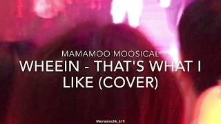 FANCAM 170817 마마무 무지컬 부산 휘인 MAMAMOO MOOSICAL in BUSAN WHEEIN  THATS WHAT I LIKE cover [upl. by Ajan892]