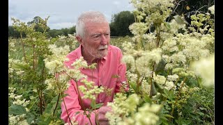 Meadowsweet with John Feehan [upl. by Haye927]