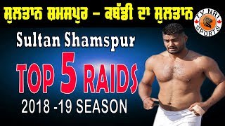 Sultan Shamspur Top 5 Raids [upl. by Wilhelmina]