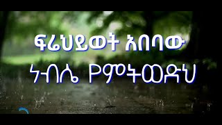 ሁሉም ይቅርና አንተ ዋል ከቤቴ  ፍሬህይወት አበባው  Frehiywet Abebaw Nebse yemtwedh Lyrics newmezmur protestant [upl. by Alilak]