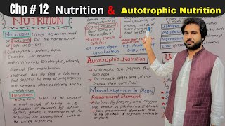 Chapter 12  Nutrition  Autotrophic nutrition 11th Class Biology vision academy [upl. by Adnoyek]