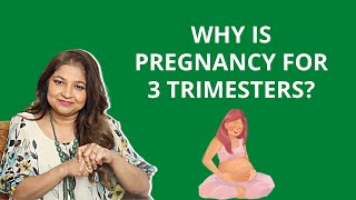 Why is pregnancy divided in three trimesters [upl. by Jaworski]