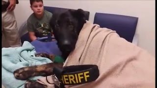 Dying K9 Officer Gets Heartbreaking Last Call Honor By Police Department [upl. by Meerak]