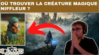 HOGWARTS LEGACY  EMPLACEMENT  LOCALISATION  COMMENT  OÙ TROUVER LA CRÉATURE NIFFLEUR [upl. by Smoht]