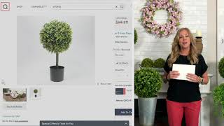 Wicker Park 2 Tall Potted Boxwood Tree on QVC [upl. by Na]