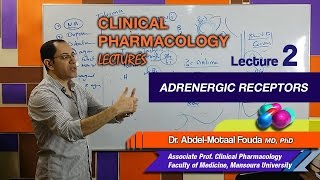 Autonomic Pharmacology Ar  Lec 02  Adrenergic Receptors [upl. by Ree]