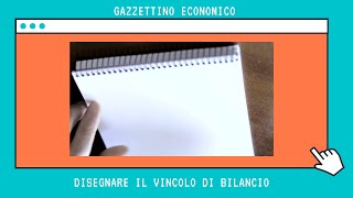 Disegnare il vincolo di bilancio  Microeconomia Teoria del consumatore [upl. by Deerc]