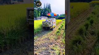 paddy harvester machine shorts harvester agriculture [upl. by Yllitnahc133]