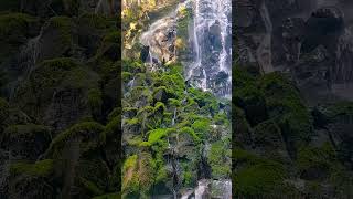 Neture waterfall mountains nature relaxing music shorts [upl. by Margaretta]