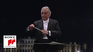 Vienna Philharmonic amp Zubin Mehta  Grieg Morning Mood Summer Night Concert 2015 [upl. by Alvis776]