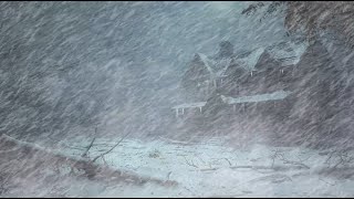 Loud Howling Wind amp Freezing Snowstorm at The Wooden House Winter Blizzard Sounds for Restful Sleep [upl. by Pacian]