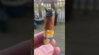 Cohiba Siglo IV Second Third Review Part 2 [upl. by Ennirroc]