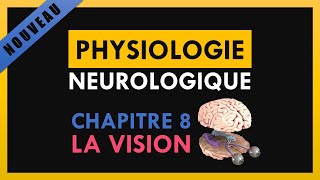 Physiologie Neurologique  Chapitre 8  La vision [upl. by Bortman619]