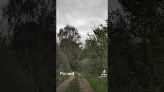 poland nature polska beautypoland las forest dzicz odludzie lesnadroga pieknapolska [upl. by God779]