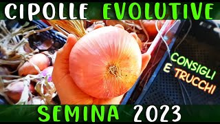 SEMINA CIPOLLE EVOLUTIVE  CONSIGLI E TRUCCHI  COME QUANDO e PERCHÉ SEMINARE CIPOLLA in SEMENZAIO [upl. by Saree]